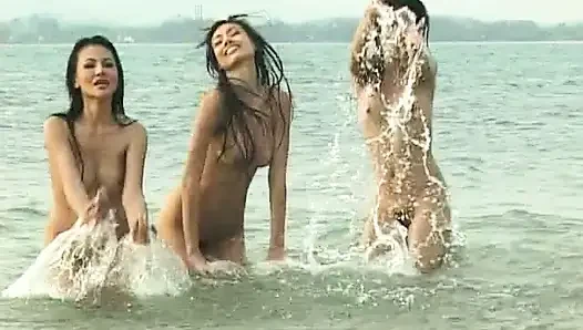 Beautiful girls beach volleyball