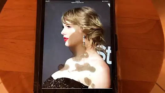 Taylor Swift Tribute 27