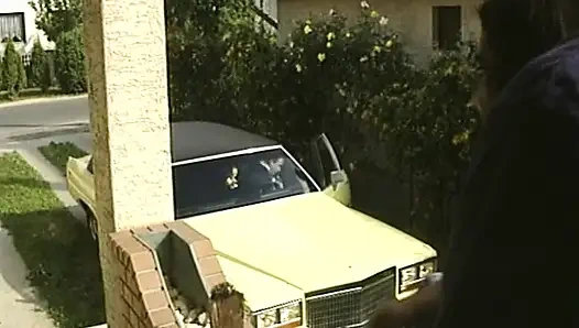 Attractive German sluts getting fucked in hot foursome