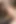 Seksi kızlar birbirlerinin amlarını yalıyor ve sonra parmakla derinden sikişiyor