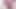 Wearing my Neighbour Girls pink small size panty and Jerking my Pink Dick