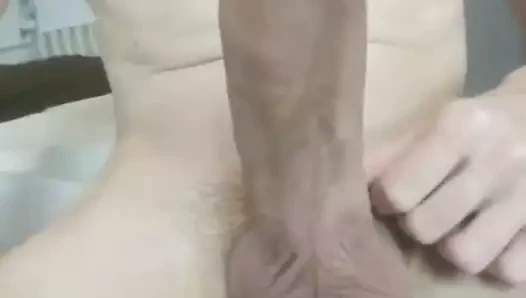 benim Alman büyük horoz