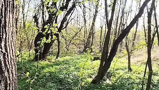 In public a quick blowjob in the forest with oral cum! Delicious!