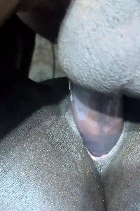 Mature BBC Fuck Black Ebony Girlfriend to Orgasm