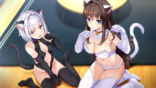 【R18版女忍者エロゲーNinNinDays2動画3】変化の術でおニャンコ猫コスプレ姿に！桔梗のムチムチ爆乳感がたまらん！(くノ一 ニンニンデイズ2実況プレイ