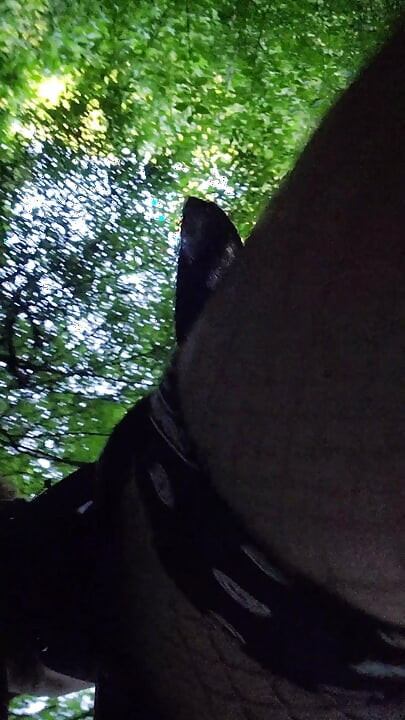 A Slut in a Grove Looking for Cocks. French Trav Show in Mini-Skirt. VaneSsaBiTCHx PariSChienneTrvprod⁹¹