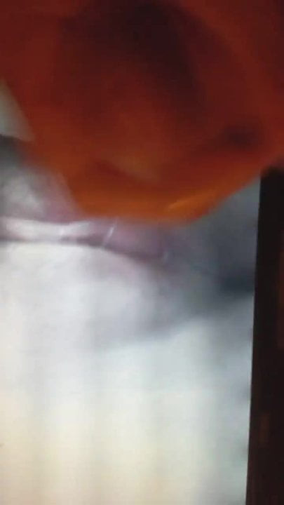 CUM TRIBUTE RATRIA