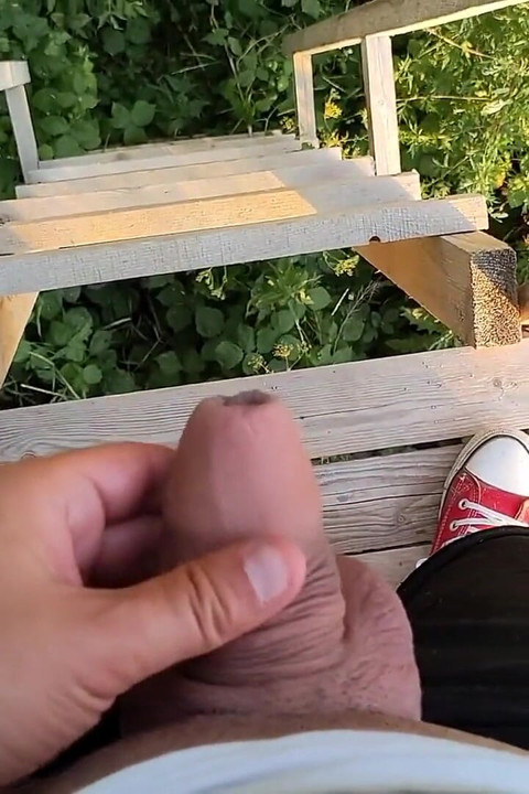 Bölgemi sidikle işaretleme - merdivenlerde işeme