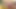 アナルハンターズのシーン - 4_Beautifulブロンドのナタリ・ディ・アンジェロが後ろから、そして顔面から楽しむ