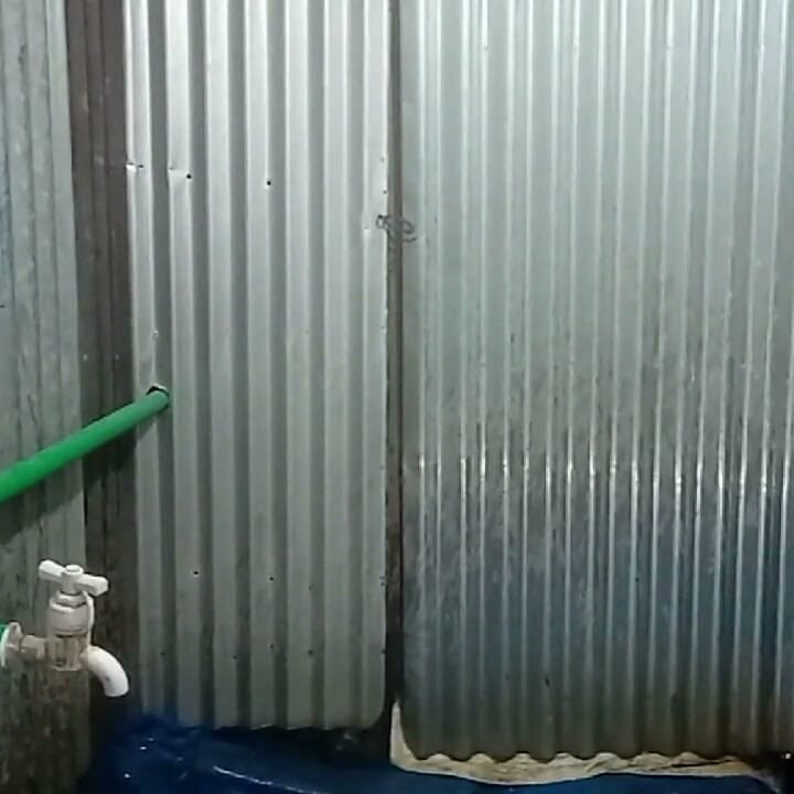 Video selamat pagi