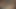 私の義理の兄弟XXX