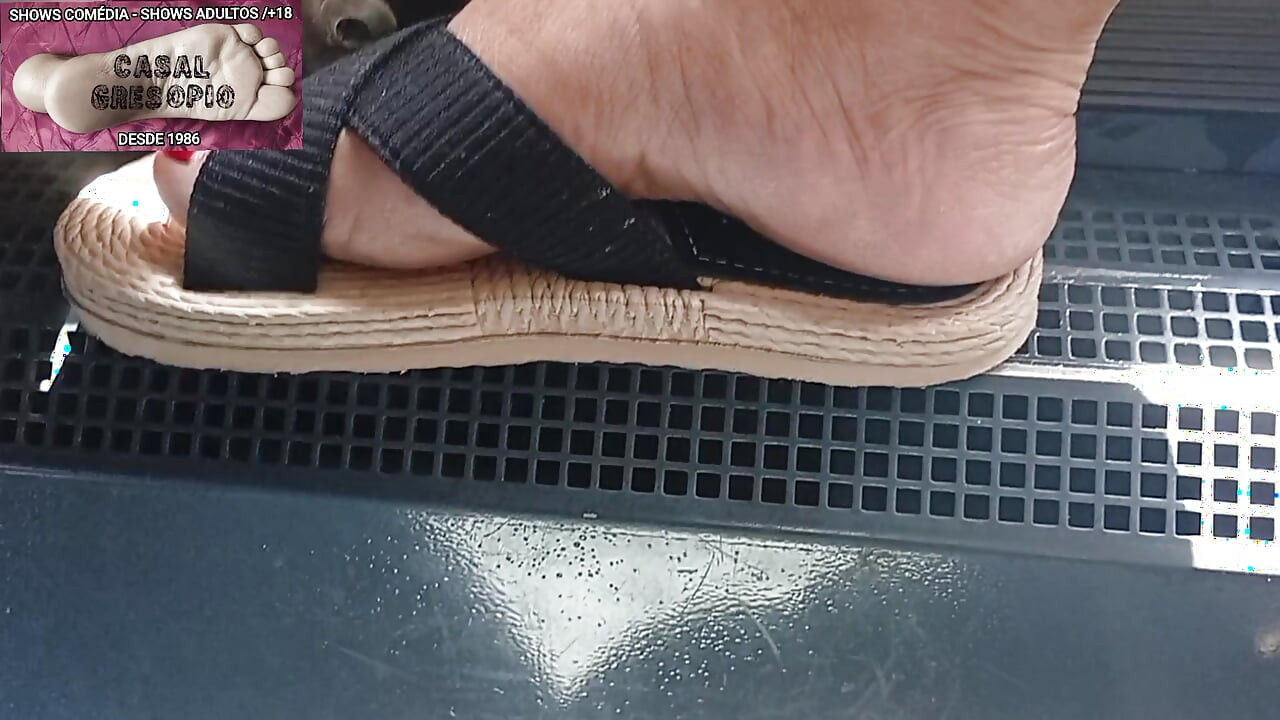 PUBLIC TRANSPORT 14