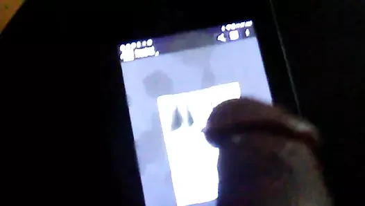 Tribute Stacy79