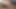 DaddyBearAZ stroking outside and then eating my cum