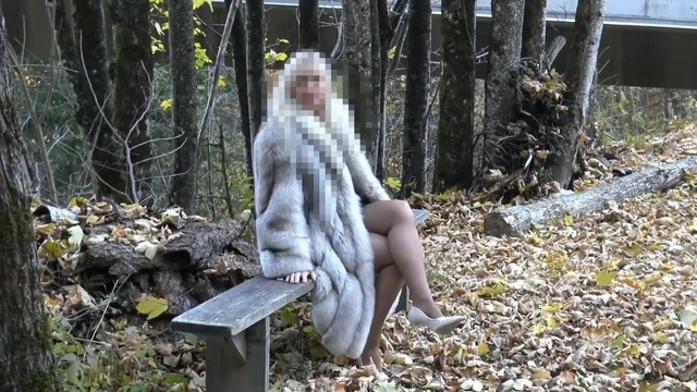 Прогулка в мехе лисы 1
