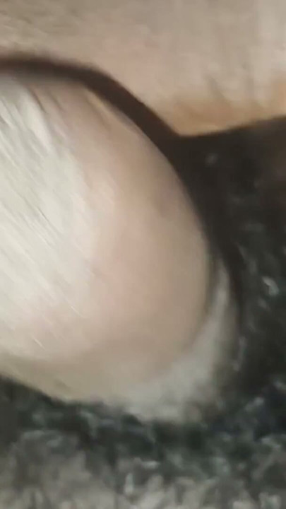 foreskin cock | Clip 1
