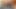 willi 501 , nude,  compilation