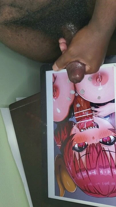 Llulu SOP