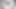 يو جي أوه مليس كيو وايت بيندر دجاجة