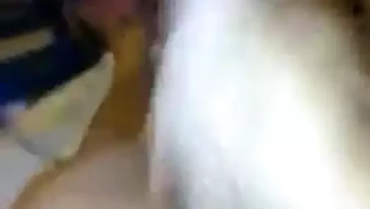 büyük beyaz horoz