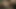 Indian desi bhabhi's sex videos