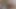 膣の中が好きで、その後は少しアナルに触れる