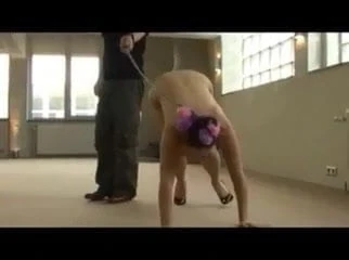 Erziehung einer Huendin