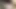 desi Indian sex, Delhi mein bhabhi ki chudai, bandaron mein andhere mein sex Kiya,