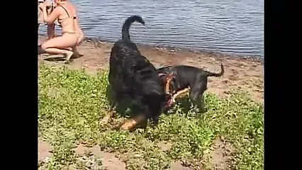 2 грязные немецкие пары хардкорно играют на берегу реки