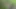 Raw fun in the woods 1
