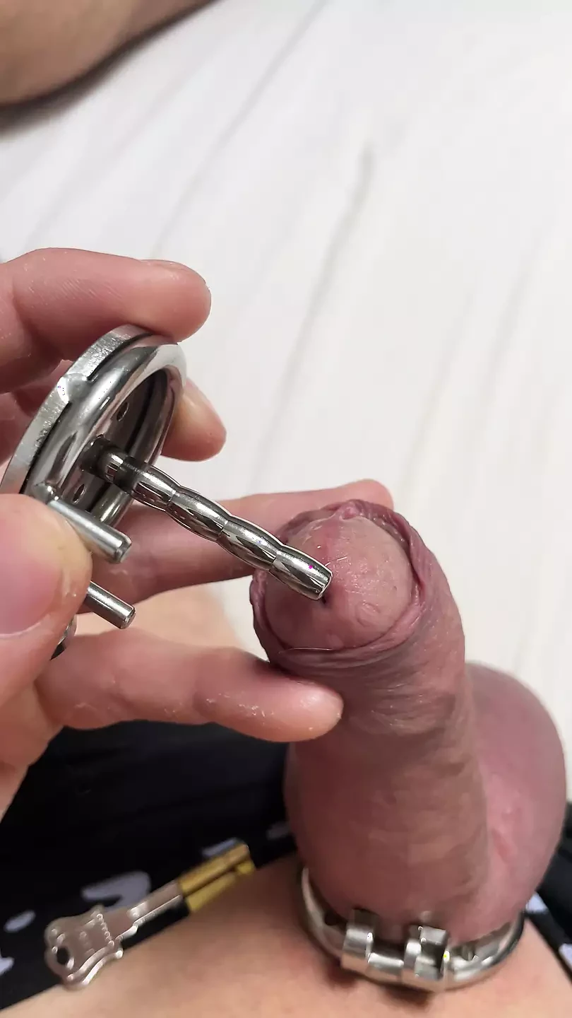 Releasing micro chastity cage with penis plug