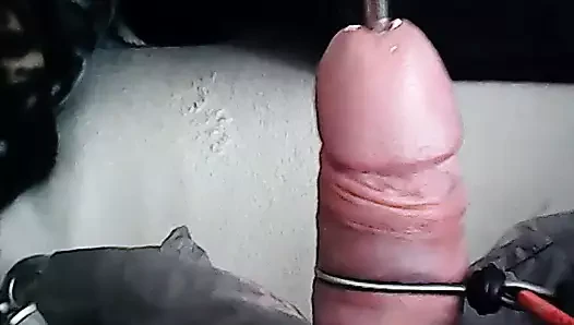 Sondaj estin
