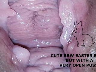 可爱的 bbw 兔子，但阴户非常开放