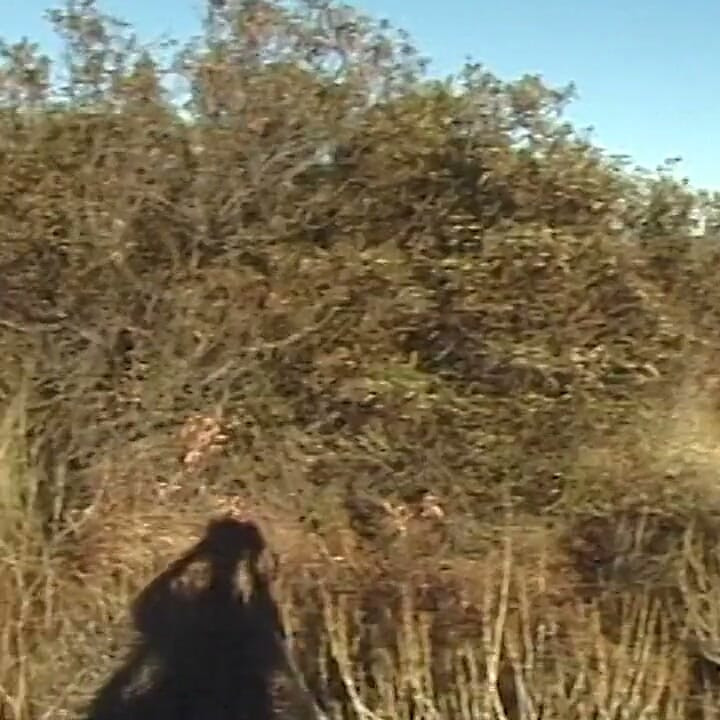 Monster tit milf picked up for outdoor fucking
