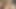 膣舐め、セックス、アナルプラグ、体に精液を塗ること。