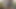 ルームメイトを録画