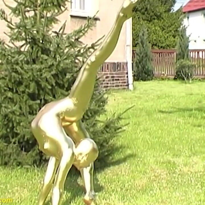 本物の柔軟な曲芸師は金色に塗られます