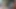 arkadaş sürme horoz tarafından yakalandı