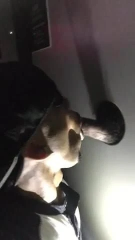 Sucked The Cum Out