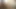 Ultra gavatların brooke banner'ından film