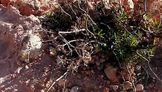 Zieh sie vom strand und fick sie zu hause