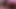 Girlfriend sucking dick when she is alone