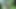 NHWBS Fucks Me in the Forest (and the ass) part 1