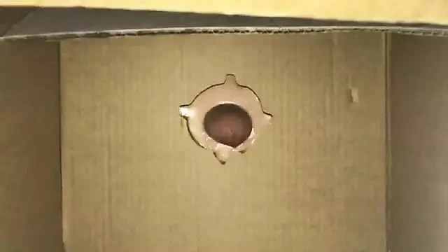 Masterbastion trick boy