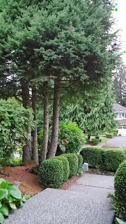 Neighborly Traffic
