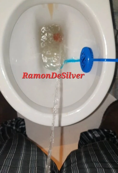 Master Ramon pisses on your slave tribute!