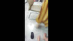Pregled videozapisa