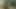 Jerking It to Maisie Williams in Sexy Green Dress
