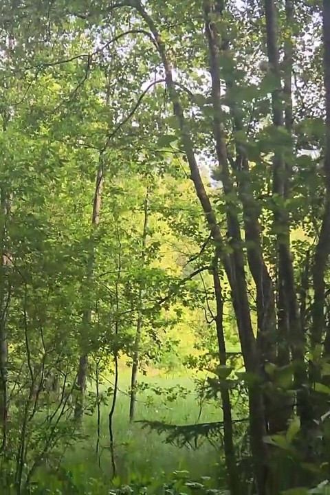 Sweet Twink Chupó a Un Extraño Con Una Gran Polla En El Bosque