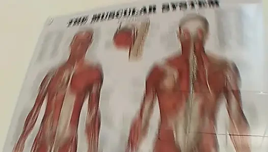 Doktorla üçlü seks